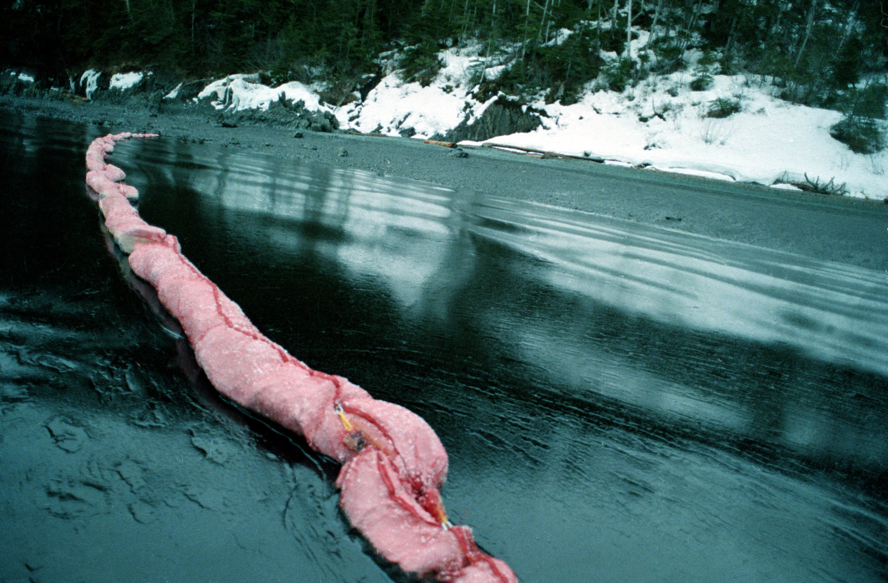 EXXON VALDEZ OIL SPILL AFTERMATH